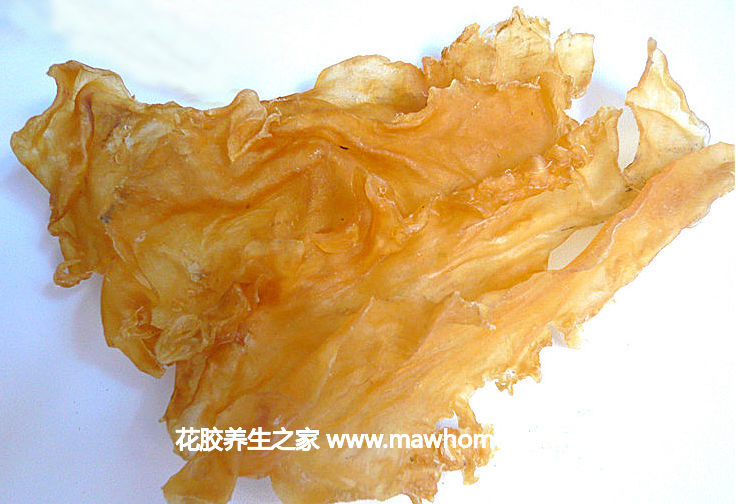 鱉花膠價格,做法,功效及圖片大全