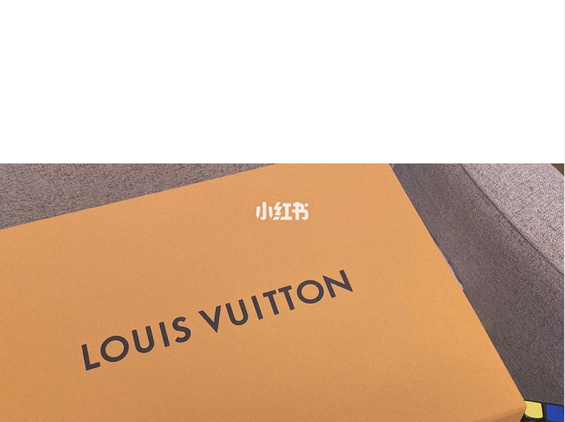LV薯條包,為什么lv灰格花紋便宜