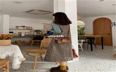 lv達芙妮小號包多少錢，lv達芙妮25多少錢