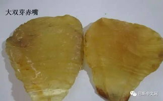 魚膠的功效及正確吃法