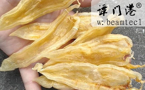 黃花膠和北海魚膠那種好、北海膠黃花魚