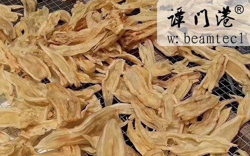 黃花膠的好處黃花膠60頭永修