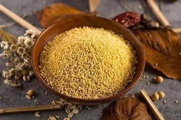 小米的營養功效有哪些 小米和這些食物搭配效果好