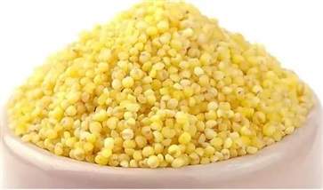 經常吃小米有哪些的功效 常吃小米的五大好處