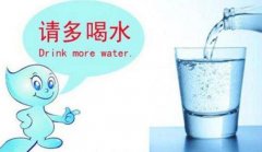 世界上最好的免費長壽藥