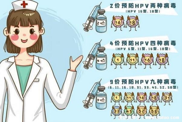 四價疫苗三針一共多少錢，2469元附二價四價九價價格一覽表