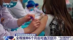 補針和第二針間隔多長時間？間隔6個月以