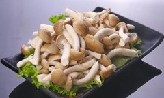 蟹味菇的營養作用(蟹味菇多大孩子能吃)