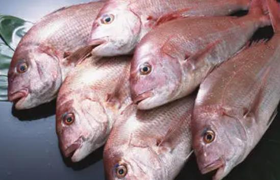 孕婦可以吃加吉魚嗎？孕婦吃加吉魚有哪些好處
