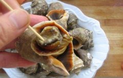 孕婦可以吃海螺嗎有什么好處(哺乳期吃了