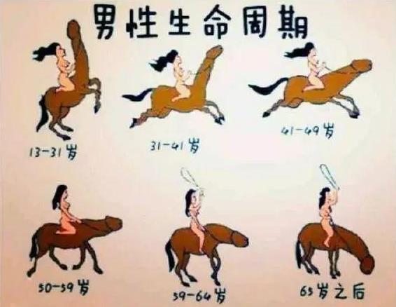 男性的丁丁是什么樣子的？平時如何健康保養