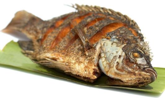 吃羅非魚有危害嗎？孕婦可以吃羅非魚嗎