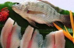 羅非魚有營養嗎能給孕婦吃嗎(羅非魚孕婦
