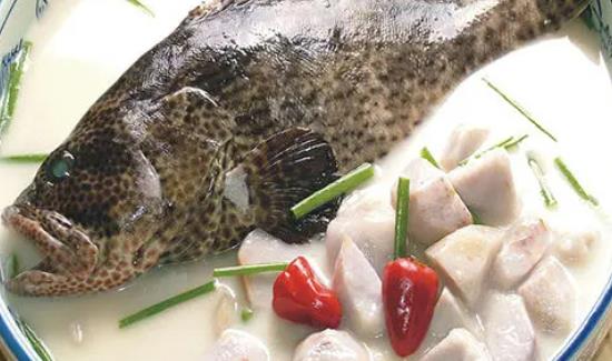 孕婦可以吃石斑魚嗎？孕婦吃石斑魚需要注意什么