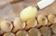 女人吃蜂王漿的作用和功效(男人每天吃多