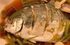寶寶吃鯧魚的好處(兒童吃鯧魚的營養價值
