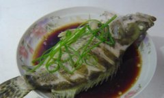 釣桂魚視頻什么季節釣桂魚最佳(清蒸桂魚