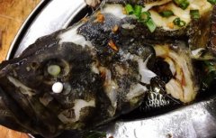 去內臟的石斑魚冷凍的怎么做好吃(石斑魚
