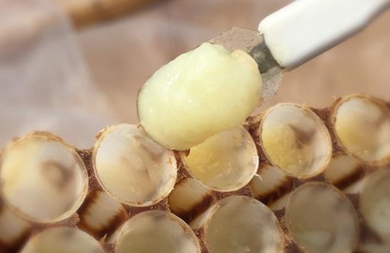 女人喝蜂王漿的好處，蜂王漿冷藏還是冷凍