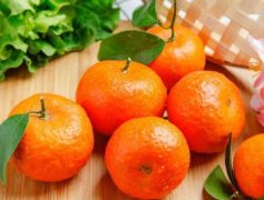 沙糖桔產地(沙糖桔的功效與作用)