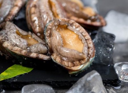鮑魚內臟為什么是綠色的？鮑魚一整個都能吃嗎