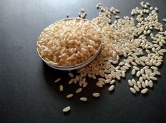 糙米需要提前泡多久才可以蒸(糙米飯不浸