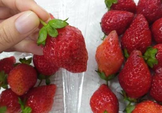 大草莓正常嗎？草莓形狀不規則是什么原因