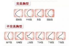 女人的乳房是什么樣的圖片？女性的胸部