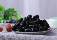 桑葚泡水喝多了有什么壞處(桑葚泡的酒喝