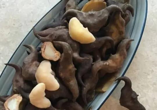 菱角要多久才能煮熟？生吃了菱角怎么補救