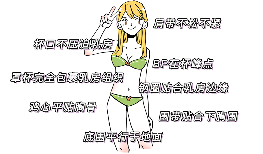 女生15歲罩杯多大算正常？15歲女生胸部有多大對照表？
