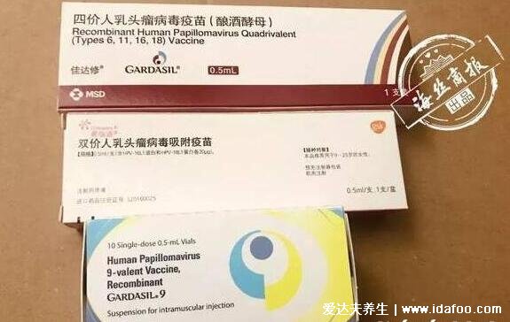 為啥說HPV二價比四價效果好，醫生不推薦打四價疫苗的真相