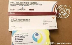 hpv疫苗打四價好還是二價好(hpv疫苗四價比