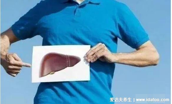 肝疼痛一般在哪個部位圖解，警惕反復的右上腹部/右肩膀的鈍痛