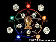 龜齡集的9大功效+5大適用人群!(龜齡集的