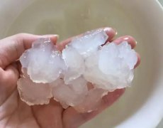 雪蛤需要吃多久(泡發雪蛤用什么水)