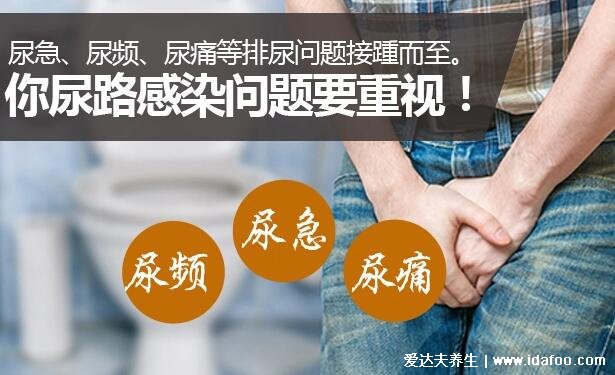 尿路感染10分鐘解決方法，飲食加生活護理很重要