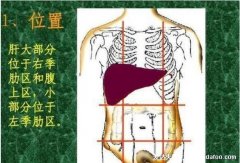 肝引起的右肩什么位置痛(左腹部肝區疼痛