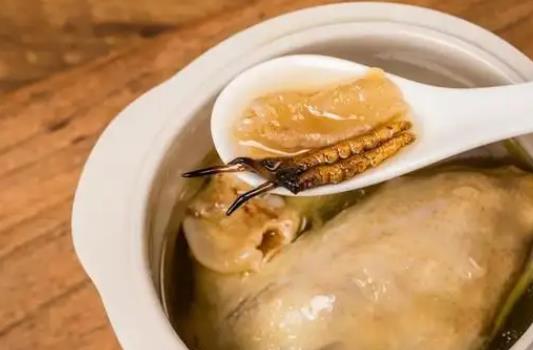 鴿子湯怎么燉營養才好？鴿子用什么煲湯最好？