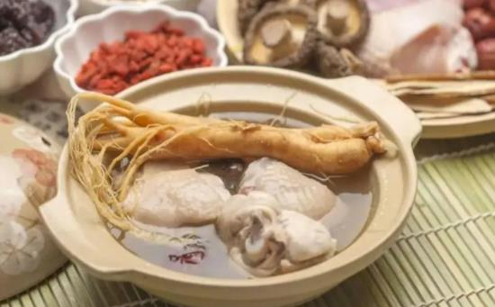 鴿子湯怎么燉營養才好？鴿子用什么煲湯最好？
