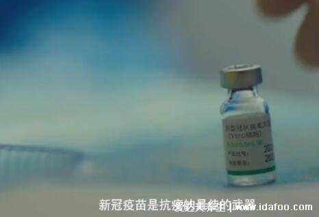 上海的醫生九成不打新冠疫苗，純屬謠言/二十種人不宜打