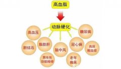 血脂偏高能吃哪些海鮮(老人血脂高有什么