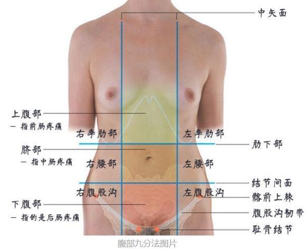 闌尾炎在左邊還是右邊疼痛位置圖片，右下腹肚臍周圍劇痛