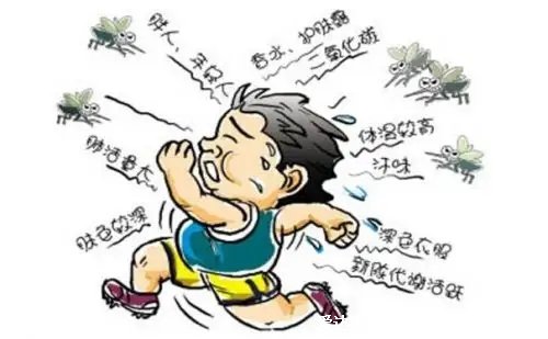 一盤蚊香=6包煙？幼兒到底能不能用蚊香？夏天驅蚊必看！