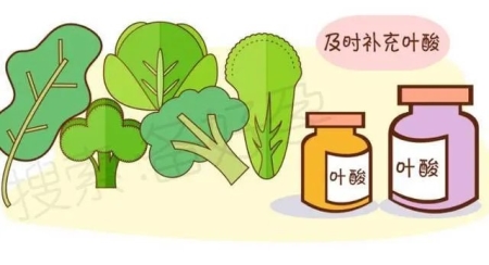 葉酸這種營養比“補鈣”還重要！