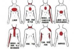 女后背疼痛位置圖詳解(女人后背中間疼圖