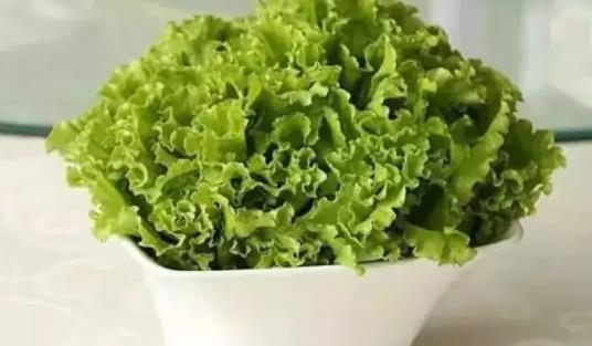 寶寶可以吃生菜嗎？多大的寶寶可以吃生菜？