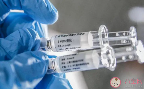 打了新冠疫苗后多長時間才干正常備孕 打新冠疫苗后懷孕了有什么影響