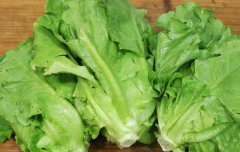 寶貝可以吃生菜嗎?多大的寶貝可以吃生菜