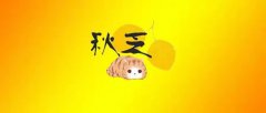 入秋的第一場雨真讓人矯情歌詞(cc睡不醒